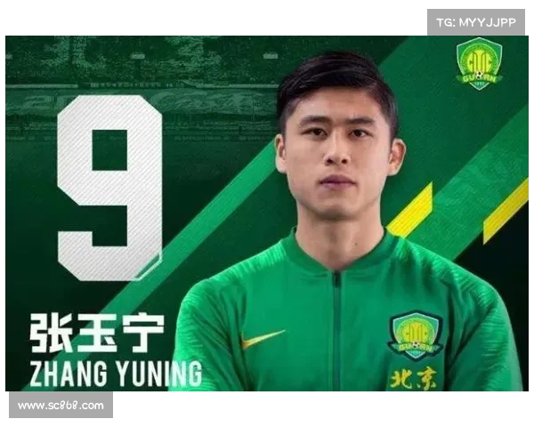 2019年国安主教练