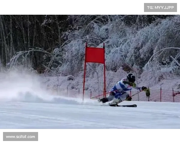 2020滑雪比赛回放视频