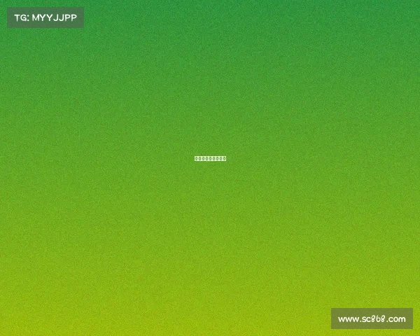 南美球会杯比赛结果