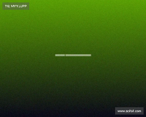 德国马术协会官网 德国马拉松赛事激情奔跑挑战极限文化体验盛宴