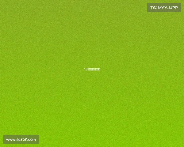 18年世界女排锦标赛